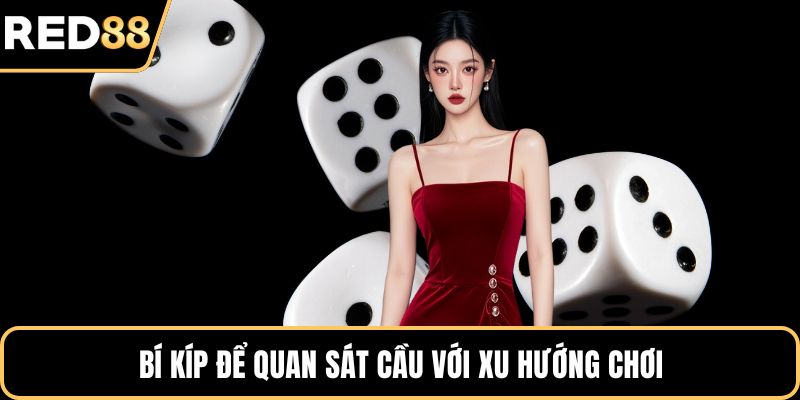 Bí kíp để quan sát cầu với xu hướng chơi