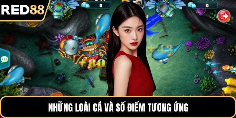 Những loài cá và số điểm tương ứng